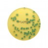 Chromogenic Listeria Agar, 90mm Plate, 10 Pcs.