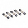 Replacement Bulbs (5 Pack) - Series/Parallel Circuit