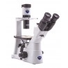 Inverted trinocular phase contrast microscope, 400x, IOS