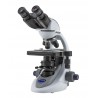 Binocular microscope, E-PLAN objectives, belt drive stage, X