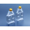 150cm2 Tissue Culture Flask with Re-Closable Lid, PS, PK18